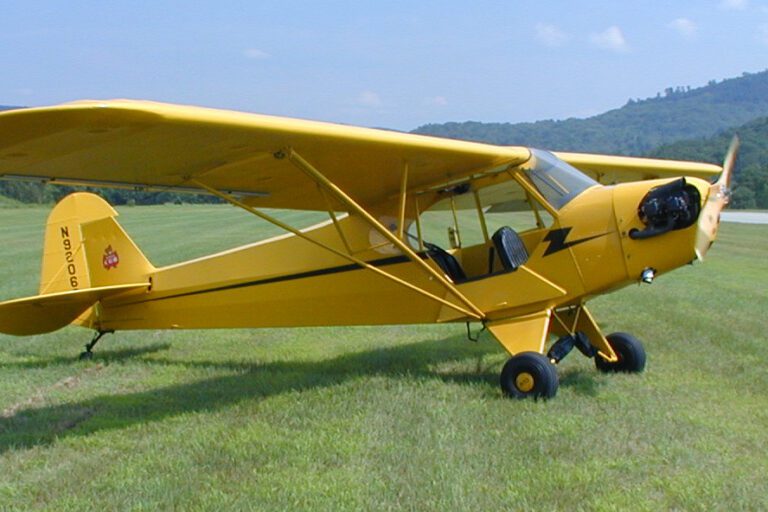 Flight academy's J3 Cub sits in the grass just off the runway at Van Nuys Airport